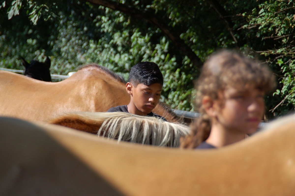 Zwei Kinder beschäftigen sich mit dem Putzen von Pferden.