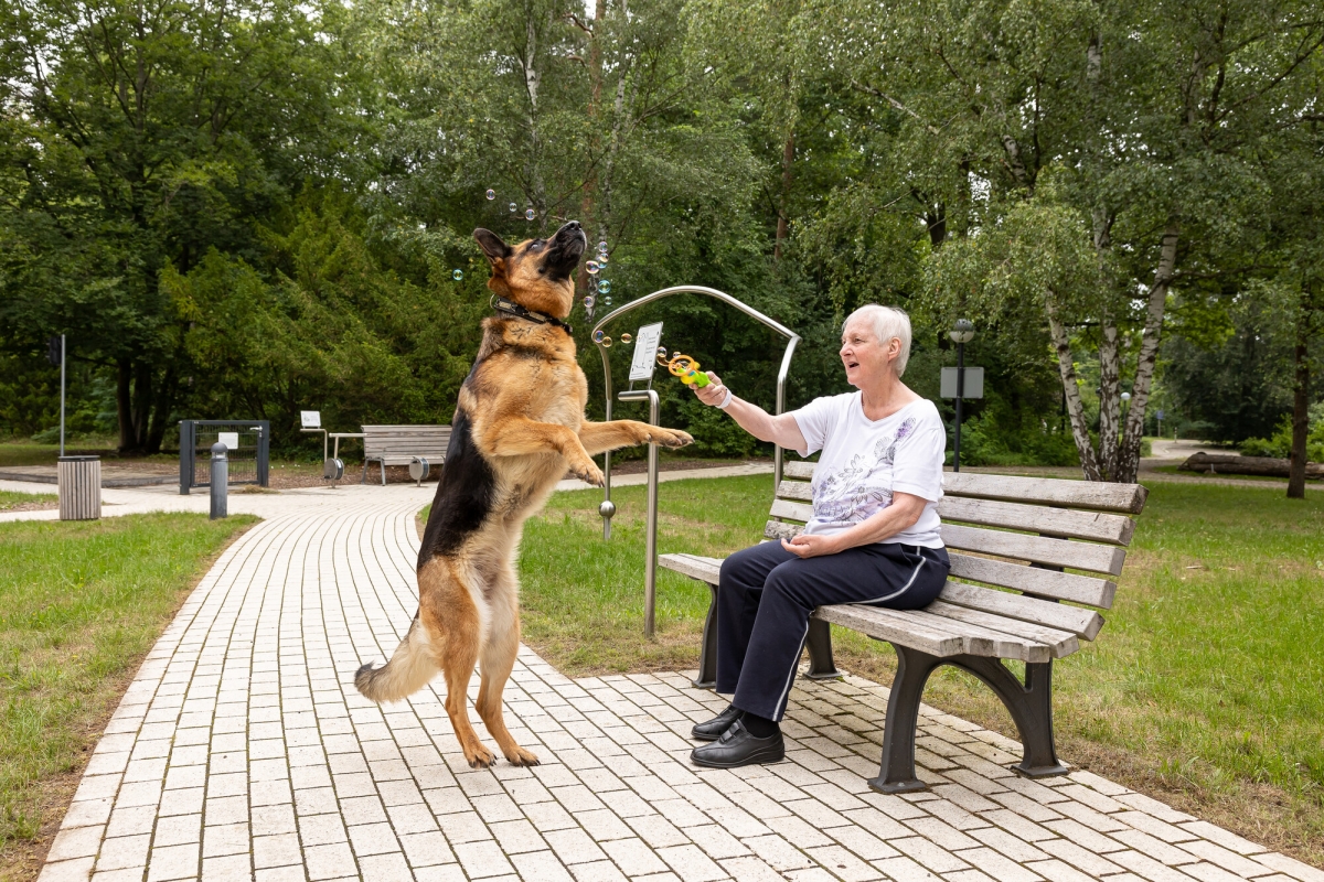 Eine Frau sitzt auf einer Bank und vor ihr ein Therapiehund mit zwei Beinen nach oben.
