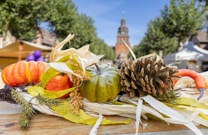 Detailaufnahme eines Obstkorbs, im Hintergrund die Stiftskirche