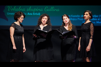Konzert Gallina